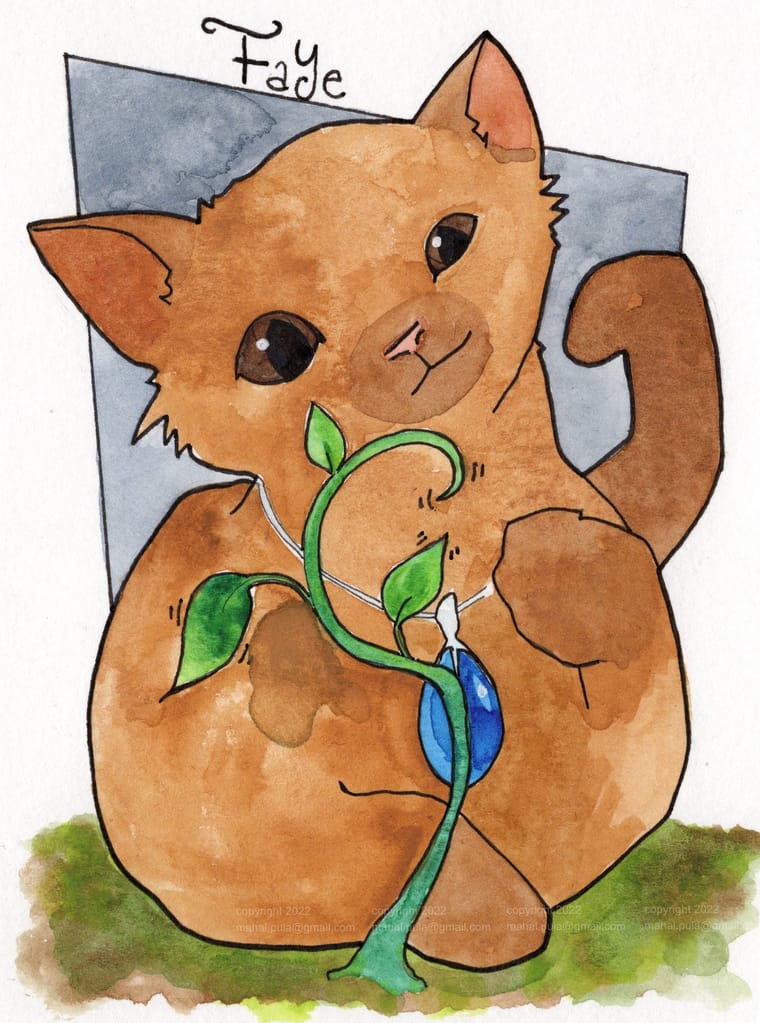 Faye cat drawing.jpg