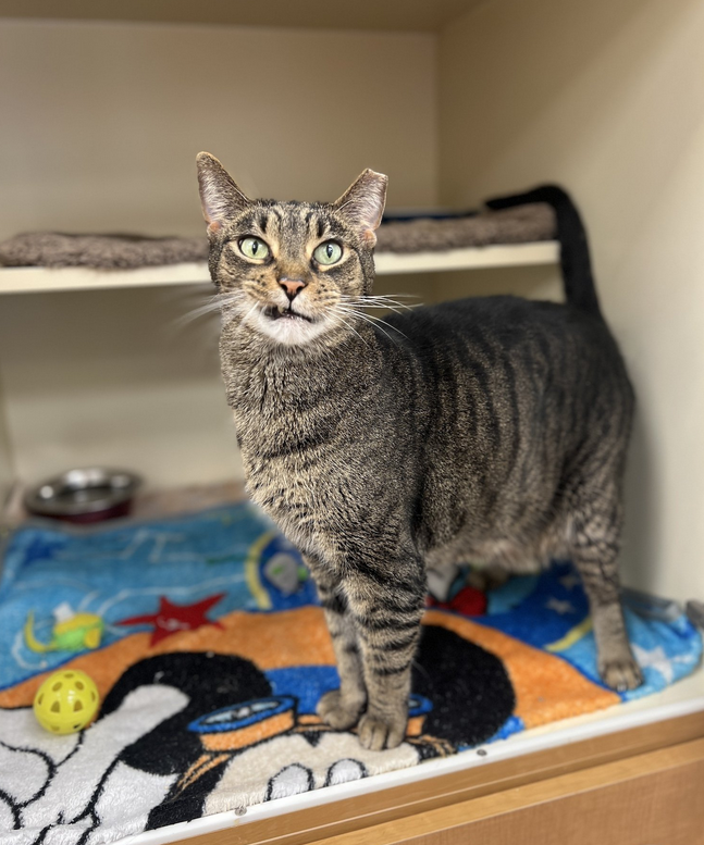 Screenshot 2024-06-22 151705.png